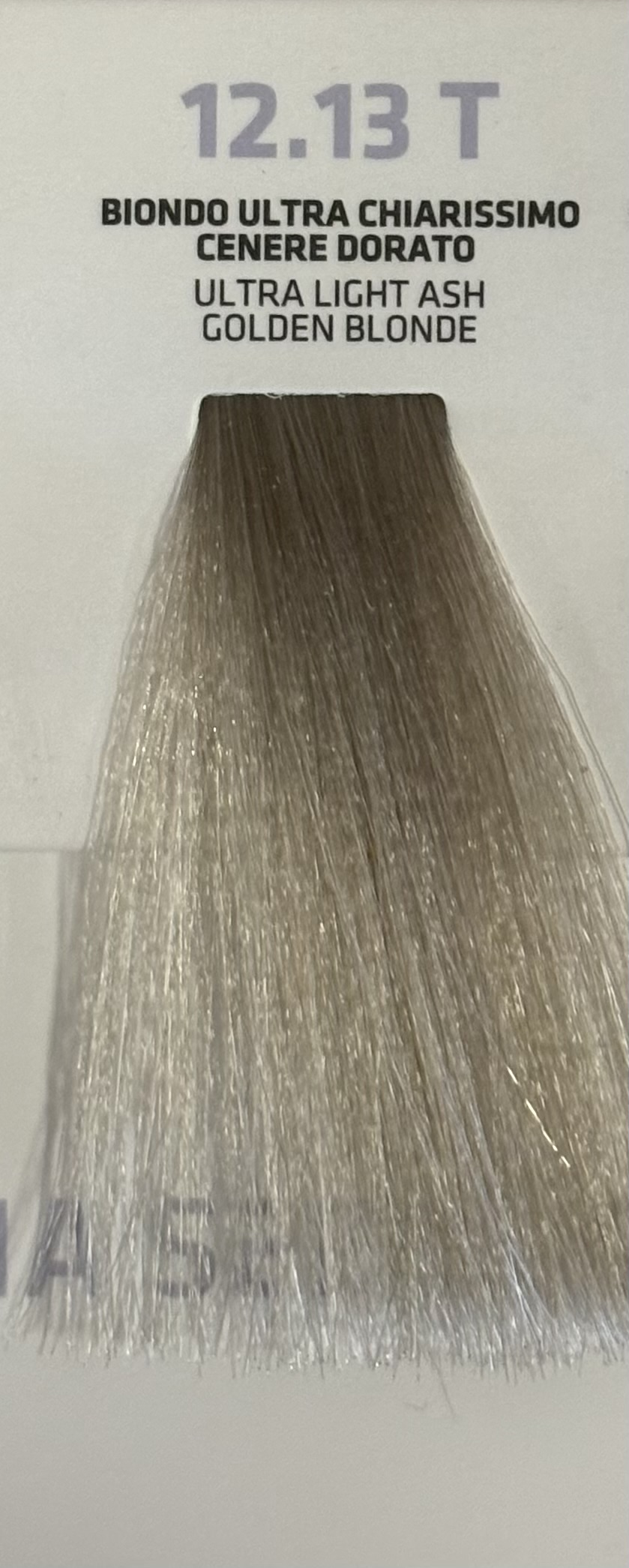 NABÈ TONER PROFESSIONAL HAIR COLOR- TOGETHAIR- 100ml — NABÈ TONER PROFESSIONAL HAIR COLOR- TOGETHAIR- 100ml — NABÈ TONER- 12.13T- BIONDO ULTRA CHIARISSIMO CENERE DORATO