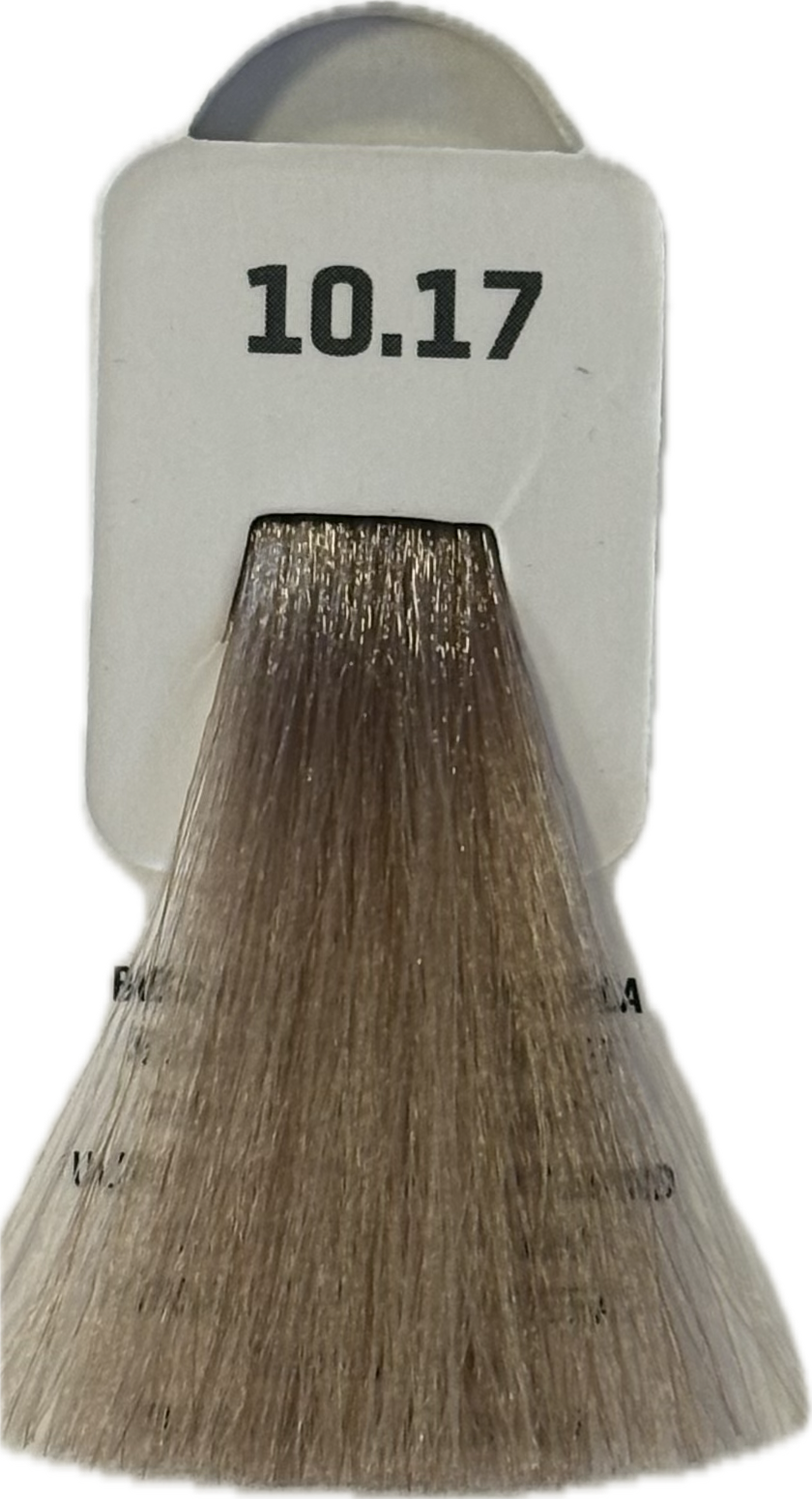 TINTA O-RANGE HAIR COLOR PROFESSIONAL - TOGETHAIR - 100ml — TINTA O-RANGE HAIR COLOR PROFESSIONAL - TOGETHAIR - 100ml — 10.17 - BIONDO ULTRA CENERE VIOLA