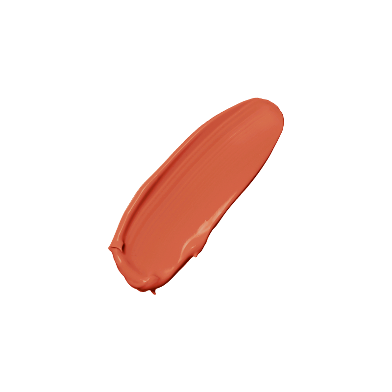 LAST TINT LIQUID LIPSTICK - JVONE MILANO - 106 NUDE BRICK