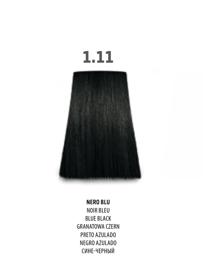 NABE' PROFESSIONAL HAIR COLOR - TOGETHAIR - 1.11 NERO BLU