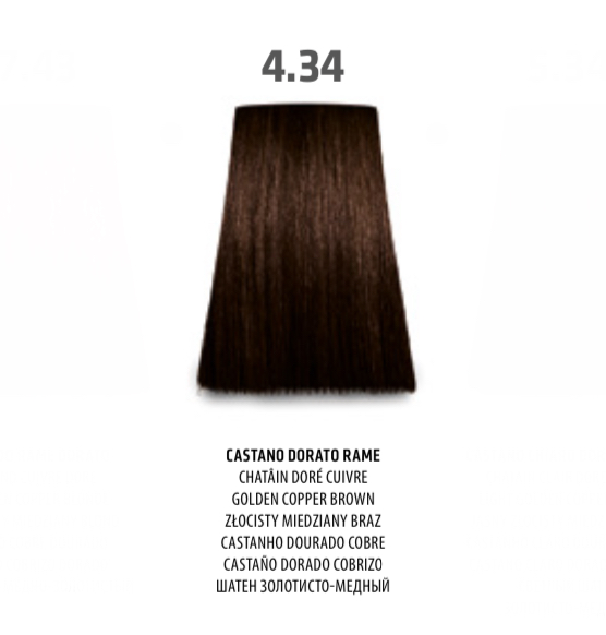 NABE' PROFESSIONAL HAIR COLOR - TOGETHAIR - 4.34 CASTANO DORATO RAME