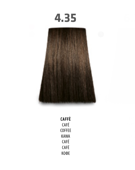 NABE' PROFESSIONAL HAIR COLOR - TOGETHAIR - 4.35 CAFFE