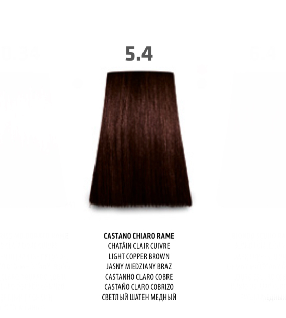 NABE' PROFESSIONAL HAIR COLOR - TOGETHAIR - 5.4 CASTANO CHIARO RAME