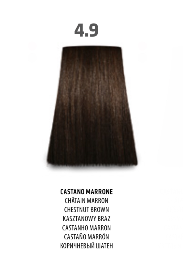 NABE' PROFESSIONAL HAIR COLOR - TOGETHAIR - 4.9 CASTANO MARRONE