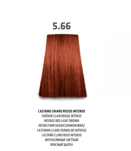 NABE' PROFESSIONAL HAIR COLOR - TOGETHAIR - 5.66 CASTANO CHIARO BIONDO INTENSO