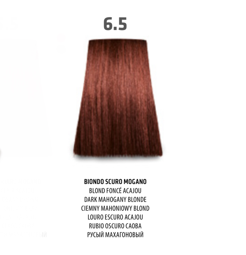 NABE' PROFESSIONAL HAIR COLOR - TOGETHAIR - 6.5 BIONDO SCURO MOGANO