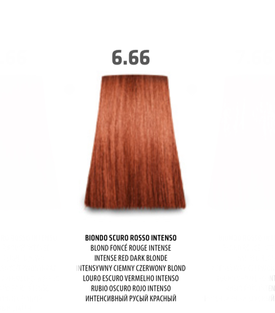NABE' PROFESSIONAL HAIR COLOR - TOGETHAIR - 6.66 BIONDO SCURO ROSSO INTENSO
