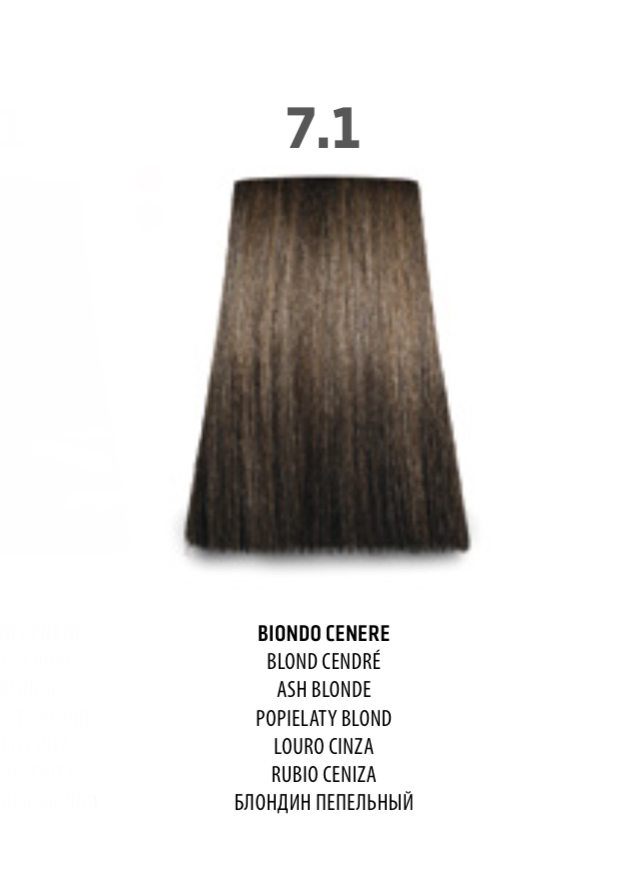 NABE' PROFESSIONAL HAIR COLOR - TOGETHAIR - 7.1 BIONDO CENERE