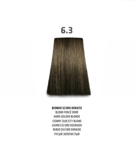 NABE' PROFESSIONAL HAIR COLOR - TOGETHAIR - 6.3 BIONDO SCURO DORATO