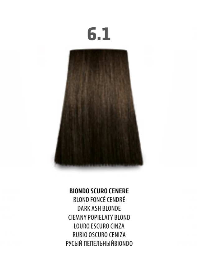 NABE' PROFESSIONAL HAIR COLOR - TOGETHAIR - 6.1 BIONDO SCURO CENERE