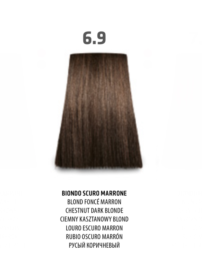 NABE' PROFESSIONAL HAIR COLOR - TOGETHAIR - 6.9 BIONDO SCURO MARRONE