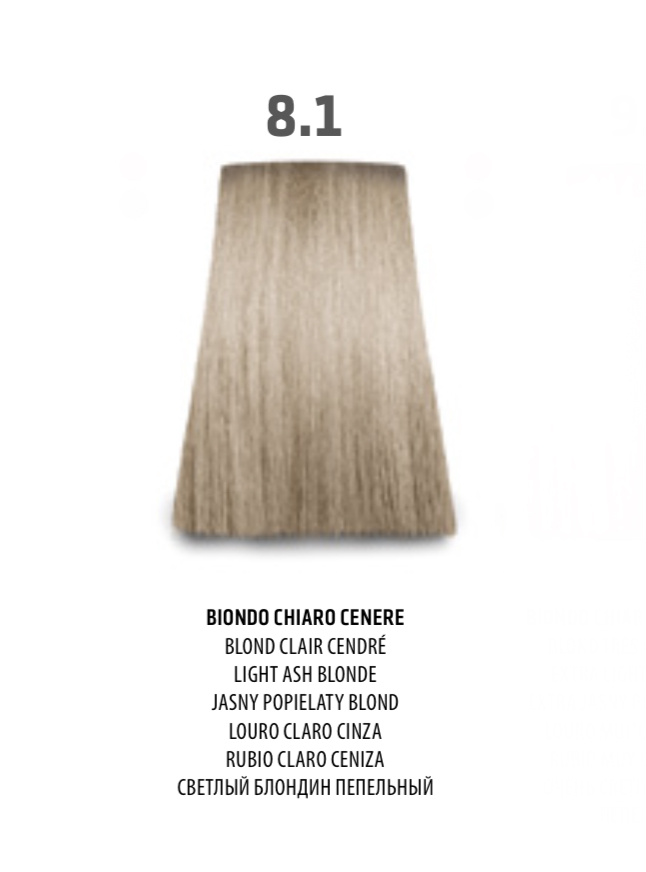 NABE' PROFESSIONAL HAIR COLOR - TOGETHAIR - 8.1 BIONDO CHIARO CENERE
