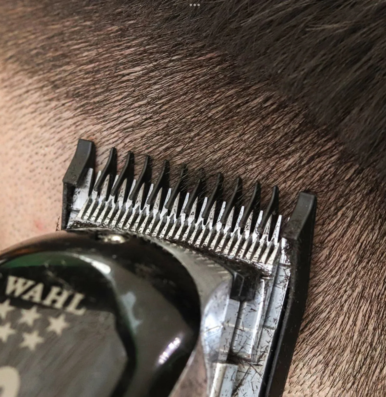 TOSATRICE SENIOR CORDLESS - WAHL — TOSATRICE SENIOR CORDLESS - WAHL