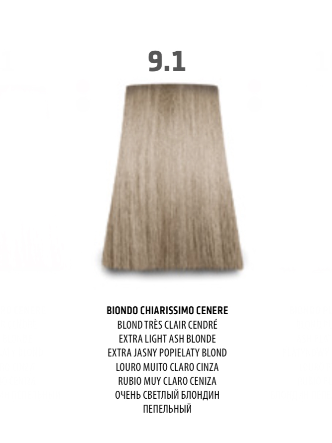 NABE' PROFESSIONAL HAIR COLOR - TOGETHAIR - 9.1 BIONDO CHIARISSIMO CENERE
